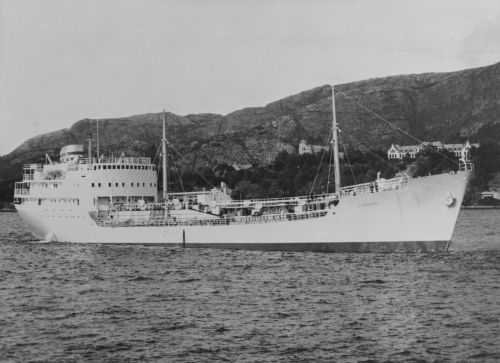 19540800-BN24-N0864-MT Vibran.jpg